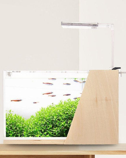 Sustainable Mini Aquarium with Customizable LED Lighting