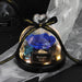 Eternal Love Glass Dome Rose: Captivating Symbol of Everlasting Romance