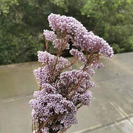 Rustic Floral DIY Garland Craft Kit - Elegant Home Decor Set