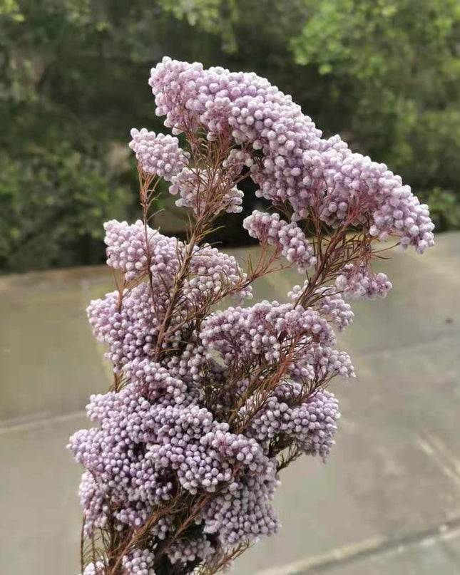 Rustic Floral DIY Garland Craft Kit - Elegant Home Decor Set