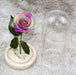 Enchanting Red Pink Preserved Rose Glass Cloche Centerpiece