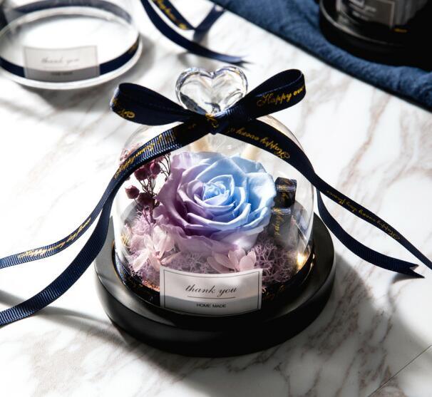 Enchanted Eternal Rose Glass Dome with Illumination