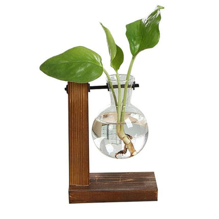 Elegant Glass Planter Set with Wooden Stand - Stylish Indoor Garden Showcase