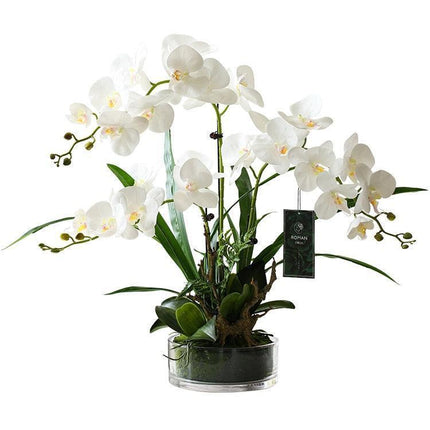 European Boreal Inspired Luxe Artificial Butterfly Orchid for Refined Home Decor