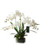 European Boreal Inspired Artificial Butterfly Orchid Display Piece