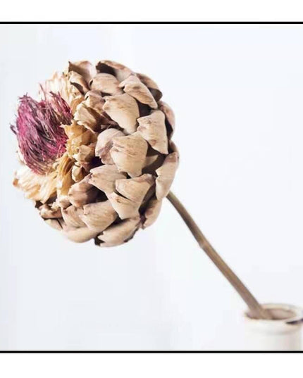 Exquisite Dried Protea Cynaroides Floral Arrangement for Elegant Home Styling