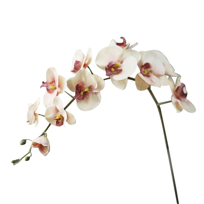 Silk Orchid Phalaenopsis Flower Bundle - 110CM Length, 11 Heads with Size Variety