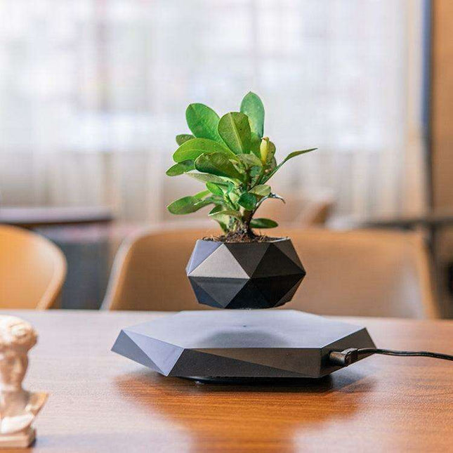 Magnetic Levitating Plant Holder - Elegant Scandinavian Home Accent