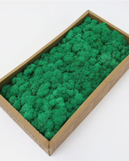 Lush Green Moss Wall Art: Nature's Timeless Beauty