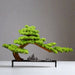 Chinese Style Bonsai Simulation Plant for Office and Home Decoration