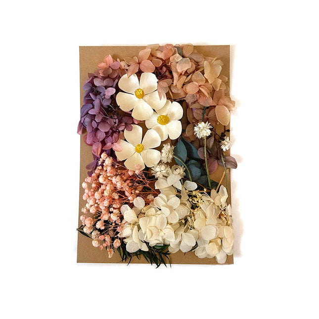 Floral Fantasy: Premium Dried Flowers Crafting Kit