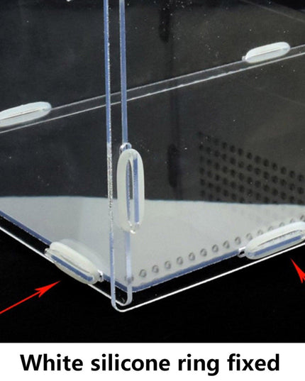 Transparent Acrylic Enclosure for Reptile Habitat and Insect Observation