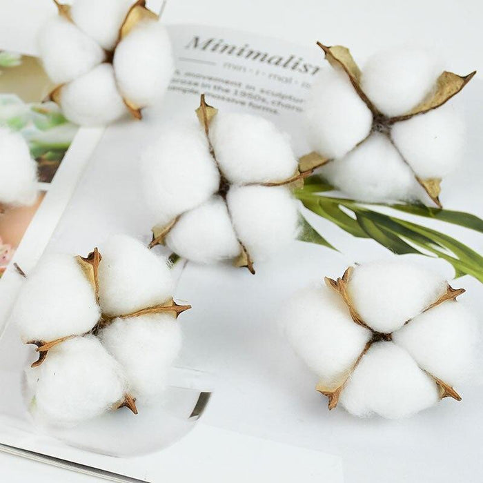 Elegant White Natural Dried Flower Cotton Bundle - Creative Wedding & Home Decor Solution