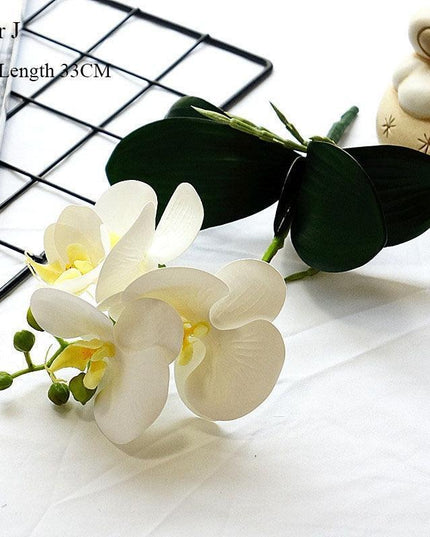 Elegant White Orchid Blooms for Upscale Home and Event Styling