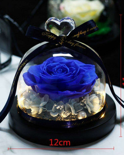 Eternal Radiance: Preserved Rose in Illuminated Glass Dome