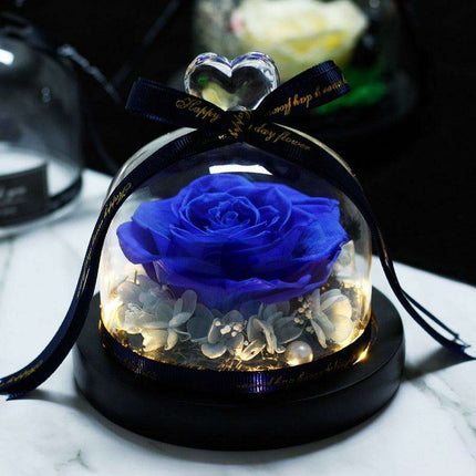 Eternal Radiance: Preserved Rose in Illuminated Glass Dome