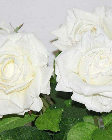 Elegant 24-Piece Real Touch Rose Set - Luxurious 12cm Blooms for Lasting Beauty