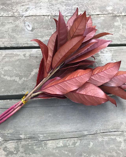 Timeless Osmanthus Leaf Collection - 5-Piece Preserved Set - Elegant Touch for Floral Creations