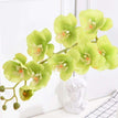 green orchid