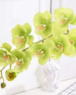 green orchid