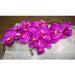 Silk White Orchid Floral Arrangement - Elegant Home and Event Decor