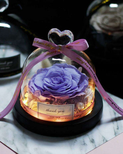 Eternal Radiance: Preserved Rose in Illuminated Glass Dome