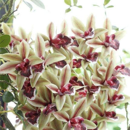 Emerald Orchid Silk Flowers - Stunning Artificial 3D Blooms for Chic Home Decoration