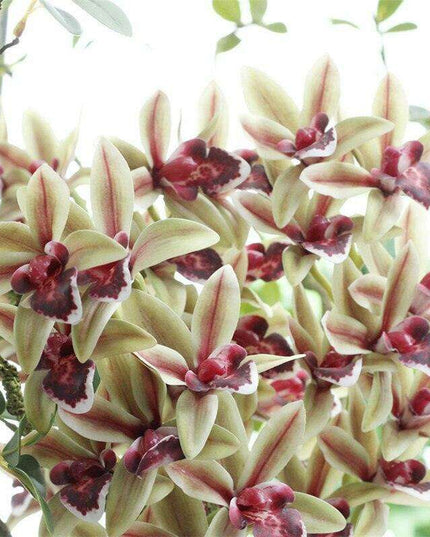 Emerald Orchid Silk Flowers - Stunning Artificial 3D Blooms for Chic Home Decoration