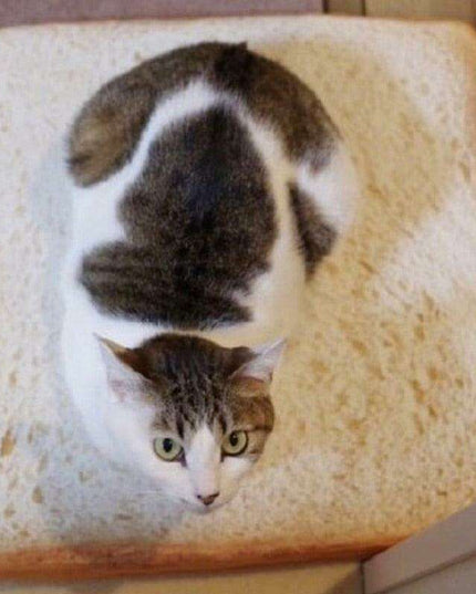 Toasty Comfort Cat Pillow - The Purrfect Luxury Retreat for Your Feline