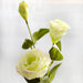 Enchanting Trigeminal Eustoma Silk Blooms - 70cm Premium Bouquet