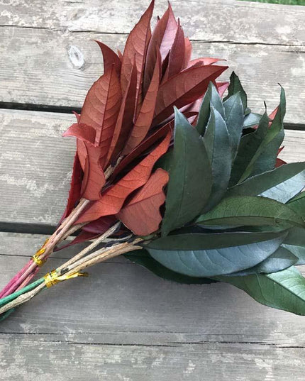 Timeless Osmanthus Leaf Collection - 5-Piece Preserved Set - Elegant Touch for Floral Creations