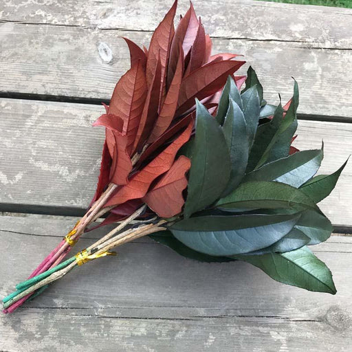 Eternal Osmanthus Leaf Bouquet - 5-Piece Set