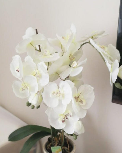 Lifelike White Phalaenopsis Orchid Arrangement - Stylish Home and Event Decor