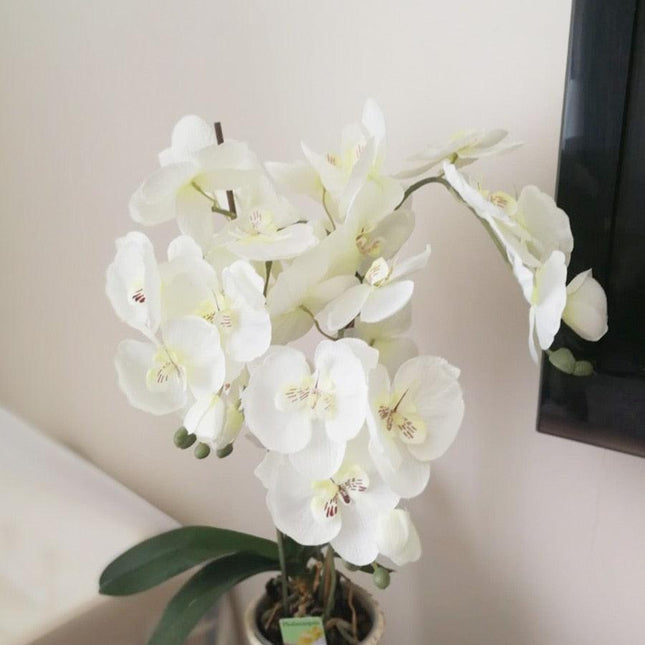 Lifelike White Phalaenopsis Orchid Arrangement - Stylish Home and Event Decor