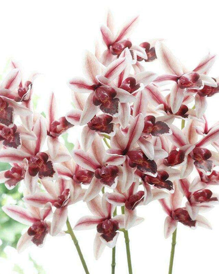 Emerald Orchid Silk Flowers - Stunning Artificial 3D Blooms for Chic Home Decoration