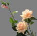 Elegant Realistic Rose Bouquet - Set of 10 Artificial Roses for Wedding and Home Decor