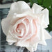 Set of 24PCS - 12cm Real Touch Roses Artificial Flowers