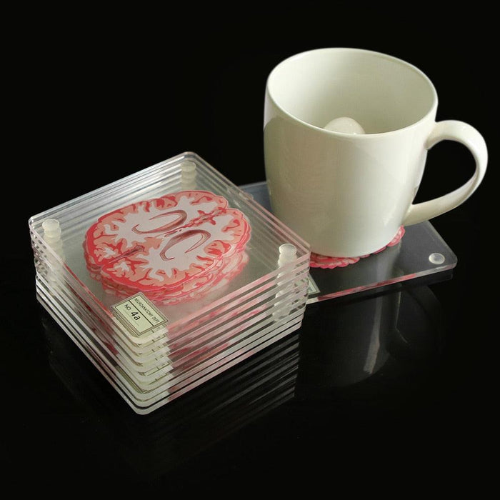 Brain Specimen Coasters - Unique Educational Drink Coasters for Brain Enthusiasts
