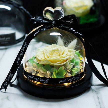 Eternal Radiance: Preserved Rose in Illuminated Glass Dome