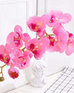pink orchid