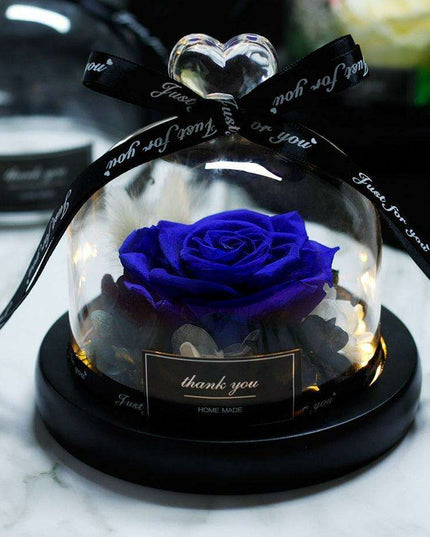 Eternal Radiance: Preserved Rose in Illuminated Glass Dome
