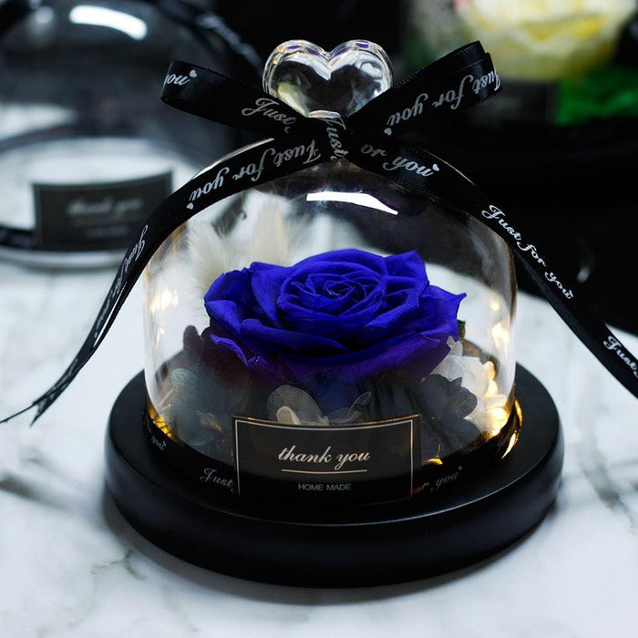 Enchanted Forever Rose: Real Rose Preserved in LED Glass Dome