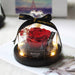 Eternal Rose Glass Dome: Timeless Elegance and Beauty