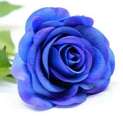 Stunning 50-Piece Realistic Faux Rose Bouquet - Perfect for Home & Wedding Decor