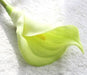 Elegant Real Touch Calla Lily Flowers Set - Wedding & Event Decor Bouquet