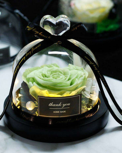 Eternal Radiance: Preserved Rose in Illuminated Glass Dome