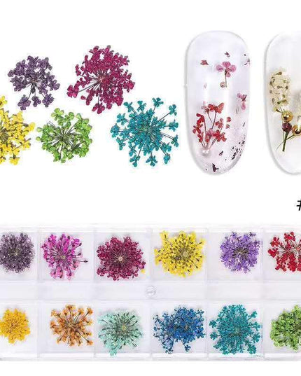 Botanical Elegance Nail Art Kit: Authentic Dried Flower Decoration Collection