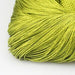 Elegant European Style Solid Color String Curtain - 100x200CM