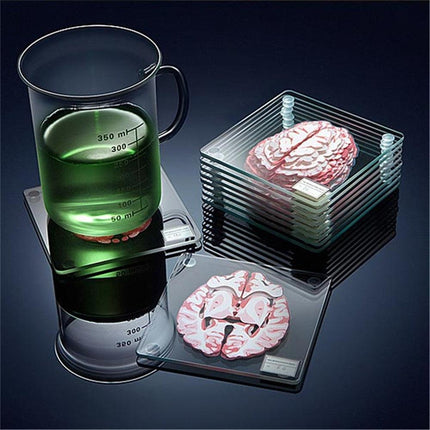 Neuroscience-Inspired Brain Specimen Coaster Set for Intellectual Decor