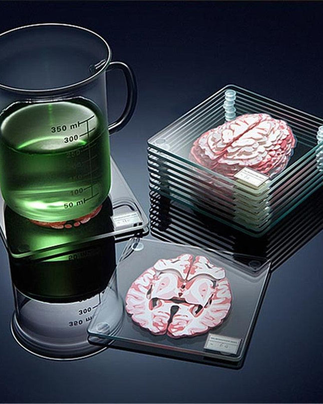 Neuroscience-Inspired Brain Specimen Coaster Set for Intellectual Decor